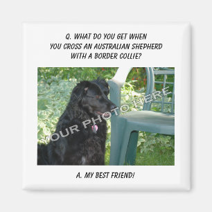 Jouw foto! Mijn beste vriend Australian Shepherd M Magneet