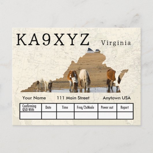 Jouw foto Virginia Shaped Cutout Custom QSL Briefkaart (Voorkant)