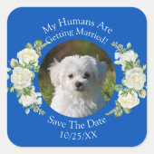 Jouw huisdier foto, Bewaar de datum, kobaltblauw e Vierkante Sticker (Voorkant)