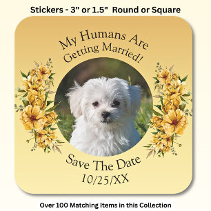 Jouw huisdier foto, save the date, goudgele flora vierkante sticker