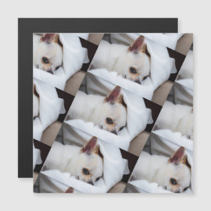 Jouw huisdier hond puppy aangepaste foto chihuahua