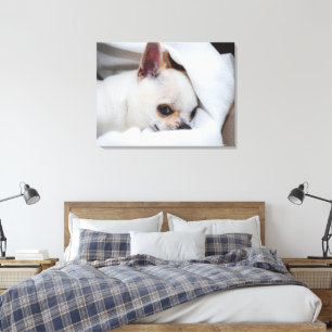 Jouw huisdier hond puppy aangepaste foto chihuahua canvas afdruk