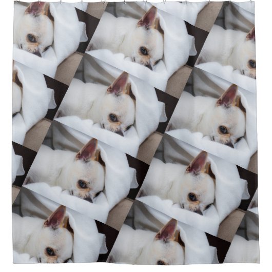 Jouw huisdier hond puppy aangepaste foto chihuahua douchegordijn (Voorkant)