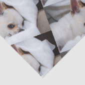 Jouw huisdier hond puppy aangepaste foto chihuahua tissuepapier (Detail)
