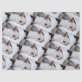 Jouw huisdier hond puppy aangepaste foto chihuahua tissuepapier (Voorkant)