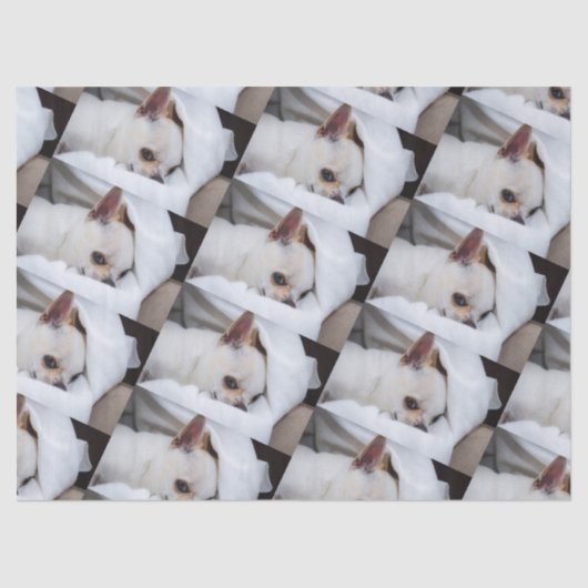 Jouw huisdier hond puppy aangepaste foto chihuahua tissuepapier (Voorkant)