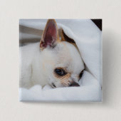 Jouw huisdier hond puppy aangepaste foto chihuahua vierkante button 5,1 cm (Voorkant)