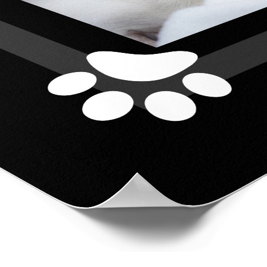 Jouw huisdier hond puppy aangepaste foto collage c poster (Hoek)