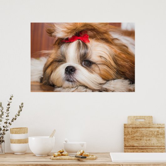 Jouw huisdier hond puppy aangepaste foto poster (Keuken)