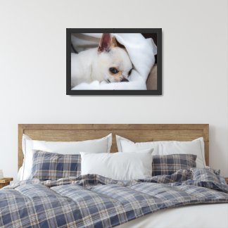 Jouw huisdier hond puppy chihuahua aangepaste foto poster
