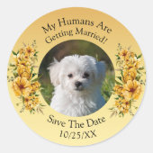 Jouw huisdierfoto, bewaar de datum, gouden gele fl ronde sticker (Voorkant)