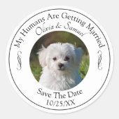 Jouw huisdierfoto, save the date, zwart-wit ronde sticker (Voorkant)