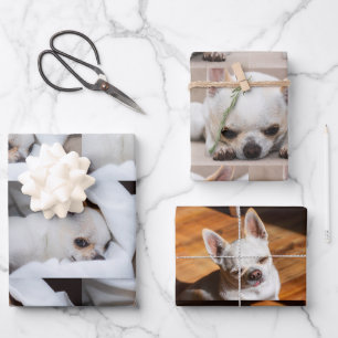 Jouw huisdierhond op maat gemaakte 3 foto chihuahu inpakpapier vel
