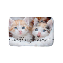 Jouw Mooie Huisdier Kittens Foto