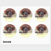 Jouw naam-Sticker toevoegen Ronde Sticker (Vel)