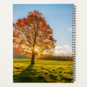 Jouw naam toevoegen | Brandbomen Planner (Achterkant)
