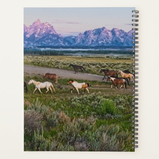 Jouw naam toevoegen | Horses Walk Planner (Achterkant)