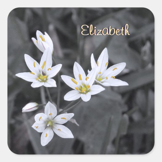 Jouw naam Wildflower Cluster Macro Foto Stickers (Voorkant)