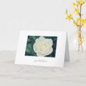 Jouw tekst Glanzend Witte Rozenbloem Wenskaart Kaart (Gele Bloem)