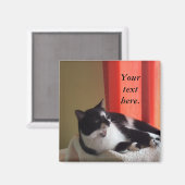 Jouw tekst Words Tuxedo Cat Photo Magnets Magneet (Voorkant / Achterkant)