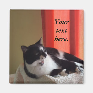 Jouw tekst Words Tuxedo Cat Photo Magnets Magneet