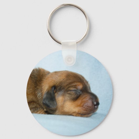 Jovi 1 wk-Lovebugdoxies Sleutelhanger (Voorkant)