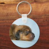 Jovi 1 wk-Lovebugdoxies Sleutelhanger (Voorkant)