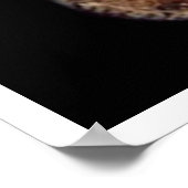 Jovian System Poster (Hoek)