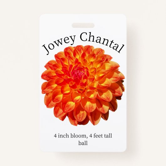 Jowey Chantal Dahlia ID Badge (Voorkant)