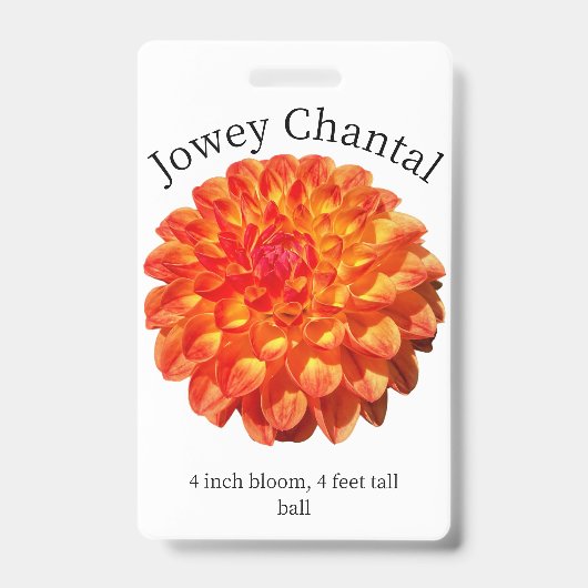 Jowey Chantal Dahlia ID-badge Badge (Voorzijde)