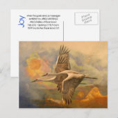 Joy, bericht van Apollo Briefkaart (Voorkant / Achterkant)