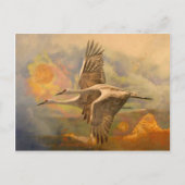 Joy, bericht van Apollo Briefkaart (Voorkant)