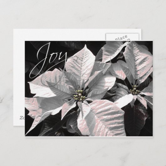 Joy Briefkaart (Voorkant / Achterkant)