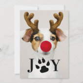Joy Dog Paw-fotokaart voor kerstfoto's Kaart (Voorkant)