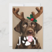 Joy Dog Paw-fotokaart voor kerstfoto's Kaart (Voorkant)