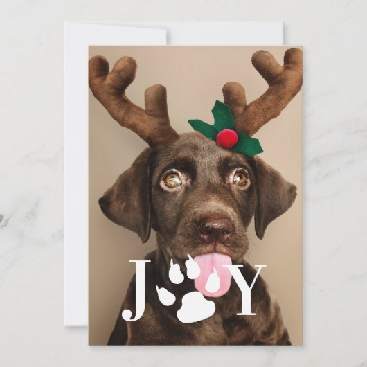Joy Dog Paw-fotokaart voor kerstfoto's Kaart (Voorkant)