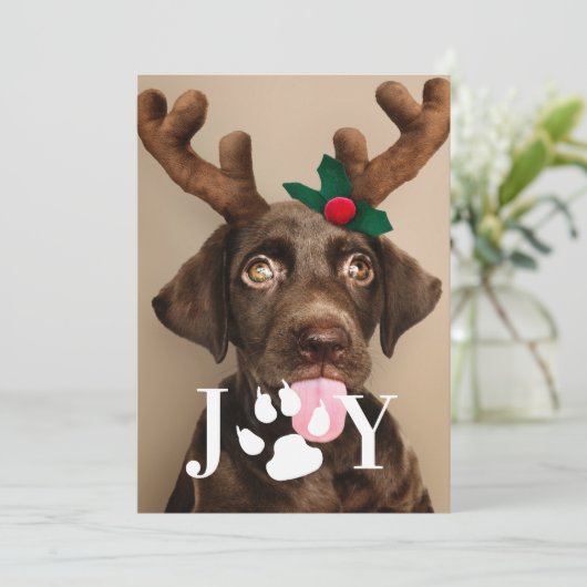 Joy Dog Paw-fotokaart voor kerstfoto's Kaart (Staand voorkant)