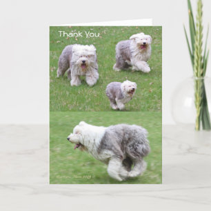 Joy is the Simplest form of Gratitude. Bedankkaart