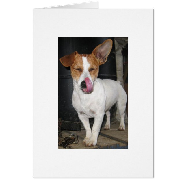 Joy Lick her Chops (Voorkant)