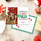 Joy Love Paws Dog Christmas Red Green Foto Briefkaart