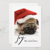 Joy Modern Pet Holiday Kaart (Voorkant / Achterkant)