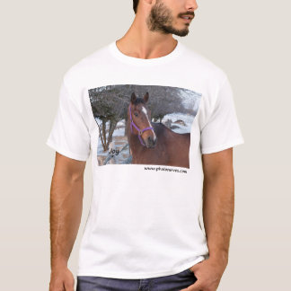 Joy NEP Ottawa, ON T-shirt