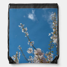 Joy of life! Spring cherry blossom filiches