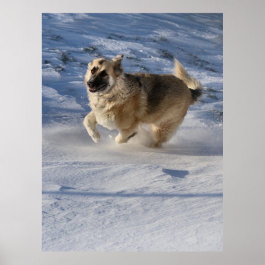 Joy op motie poster (Voorkant)