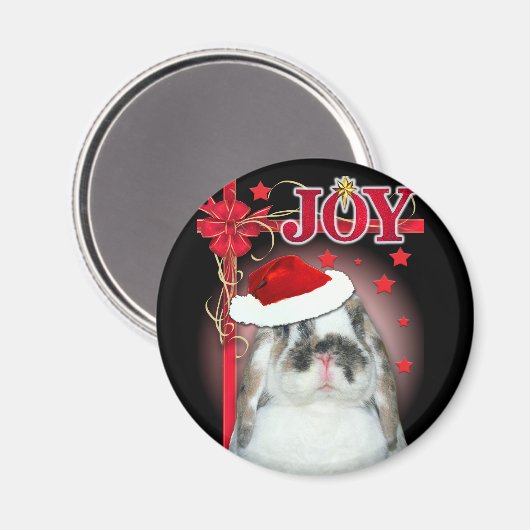 Joy Xmas Magnet (Voorkant / Achterkant)