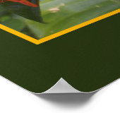 Joy Zen Meditation Oranje Flowers Foto Templat Poster (Hoek)