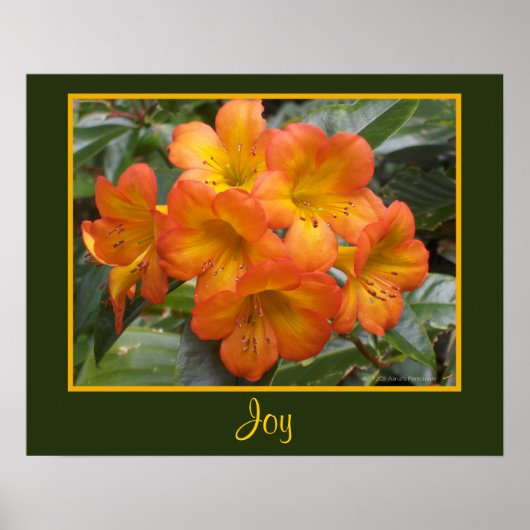 Joy Zen Meditation Oranje Flowers Foto Templat Poster (Voorkant)