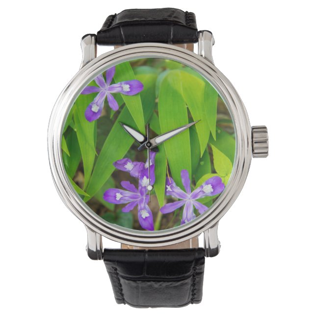 Joyce Kilmer-Slickrock Wilderness 2 Horloge (Voorkant)