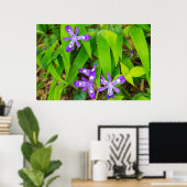 Joyce Kilmer-Slickrock Wilderness 2 Poster (Thuiskantoor)
