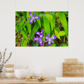 Joyce Kilmer-Slickrock Wilderness 2 Poster (Keuken)